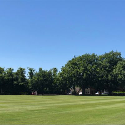 School Field